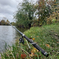 диана межировская,  