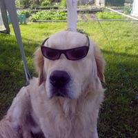 Антон Антоненко,  