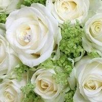 Зоряна Чорна,  