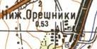 Topographic map of Nyzhni Orishnyky