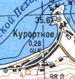 Topographic map of Kurortne