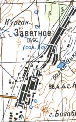 Topographic map of Zavitne