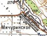 Topographic map of Michurinske