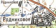 Топографічна карта Родникового
