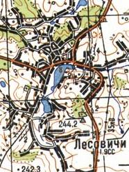 Топографічна карта Лісовичів