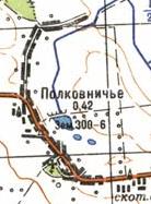 Топографічна карта Полковничого