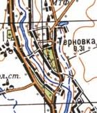 Топографическая карта Терновки