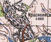 Топографічна карта Краснолісів