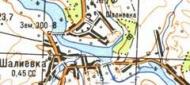 Топографічна карта Шаліївки