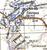 Топографічна карта Пінчуок