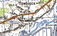 Топографическая карта Приборска