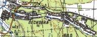 Топографическая карта Песковки