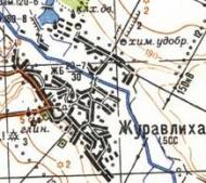 Топографическая карта Журавлихи