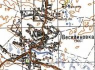 Топографічна карта Веселинівки