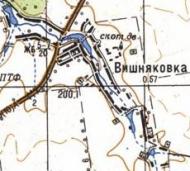 Топографическая карта Вишняковки