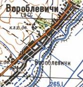 Топографічна карта Вороблевичів