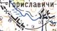 Topographic map of Goryslavychi