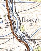 Топографическая карта Пникута