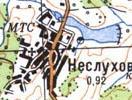 Топографическая карта Неслухова