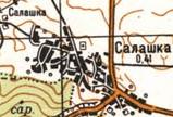 Топографическая карта Салашки
