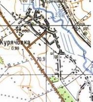 Топографическая карта Курячовки