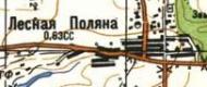 Топографічна карта Лісної Поляної
