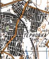 Топографическая карта Терновки