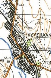 Топографічна карта Березиного