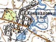 Топографическая карта Коноваловки