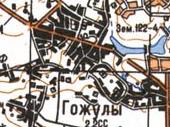 Топографічна карта Гожулів