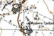 Topographic map of Mushyna Greblya
