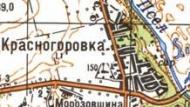 Топографическая карта Красногоровки