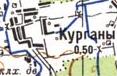 Топографічна карта Курганів