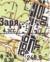 Топографическая карта Зари