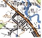 Топографическая карта Прислуча