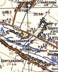 Топографическая карта Бригадировки