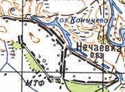 Топографическая карта Нечаевки