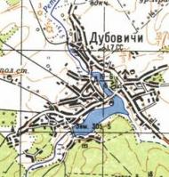 Топографічна карта Дубовичів