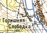 Топографическая карта Горишней Слободки