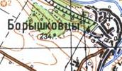 Топографічна карта Боришківців