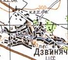Топографическая карта Дзвиняча