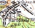 Топографічна карта Нагорянів
