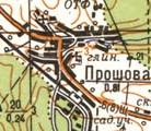 Топографическая карта Прошовой