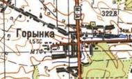 Топографическая карта Горынки