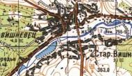 Топографическая карта Вишневца