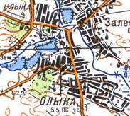 Топографическая карта Олыки