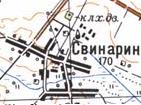 Топографическая карта Свинарина