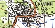 Топографическая карта Скулина