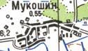Топографическая карта Мукошина