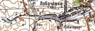 Топографическая карта Лобачовки